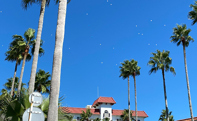 逗子の海と住宅街の写真
