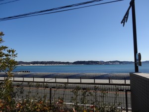 DSC03126