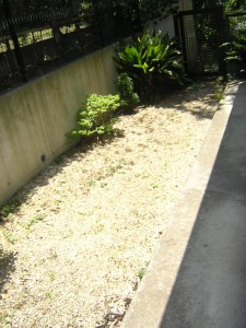 iomachi-flat-garden